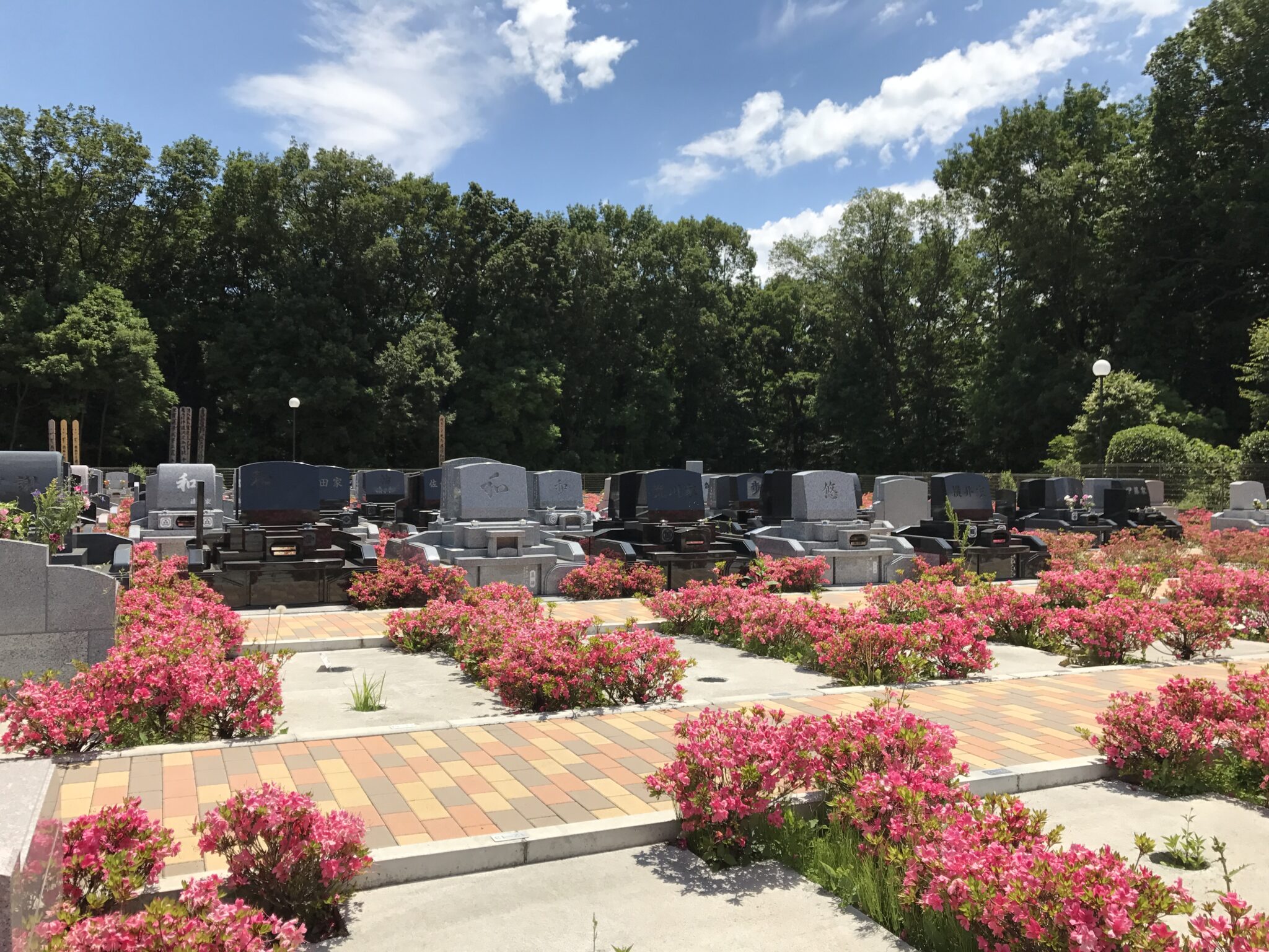 フォレスト所沢